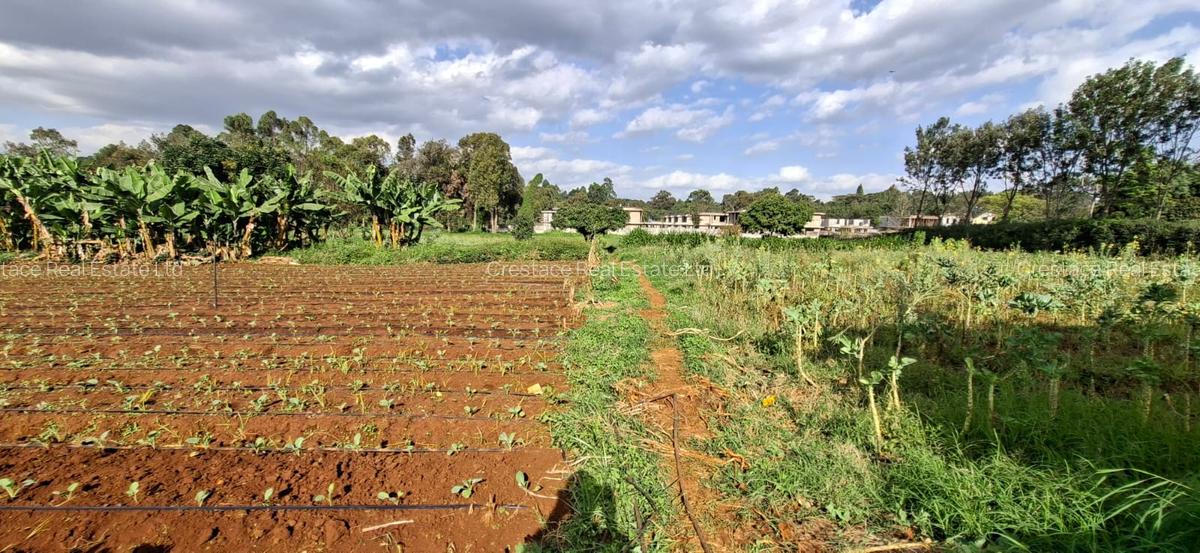 0.2 ha Residential Land at Three Dee Lane - 4