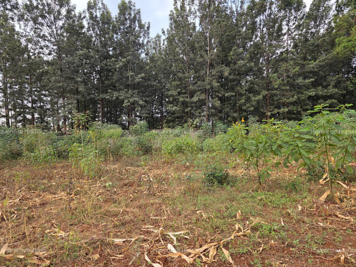 Land at Thindigua - 1