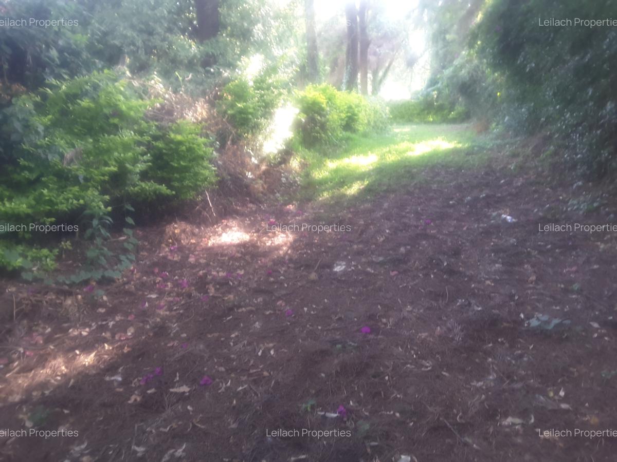 1.2 ac Land in Ngong - 20
