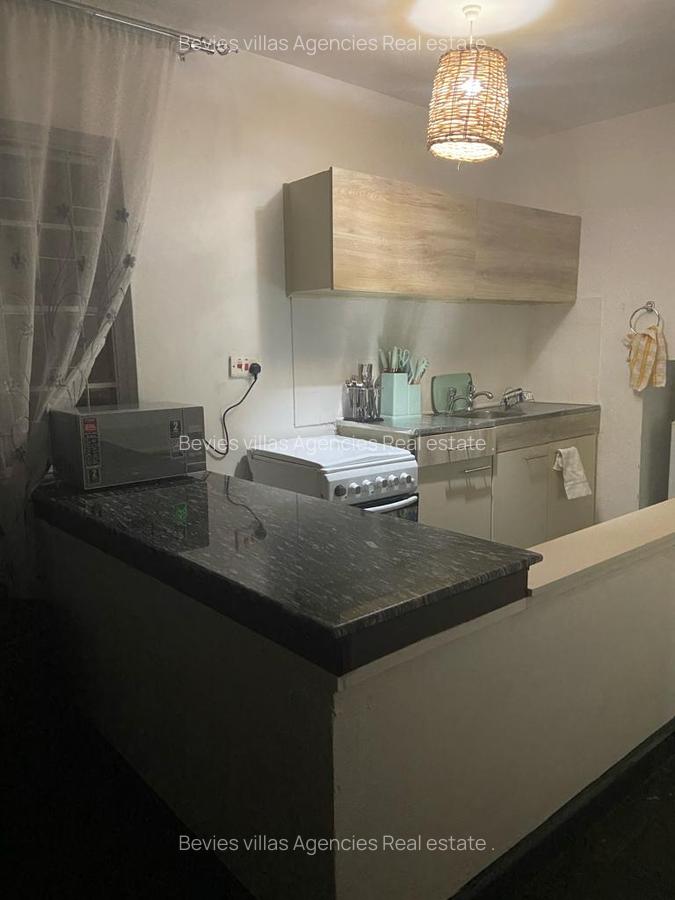 Furnished 1 Bed Apartment with Borehole at Raphta Road - 4