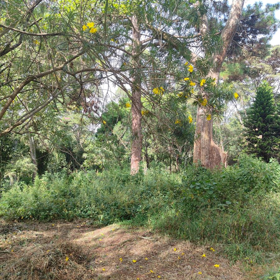 4.1 ac Land at Farasi Lane - 14