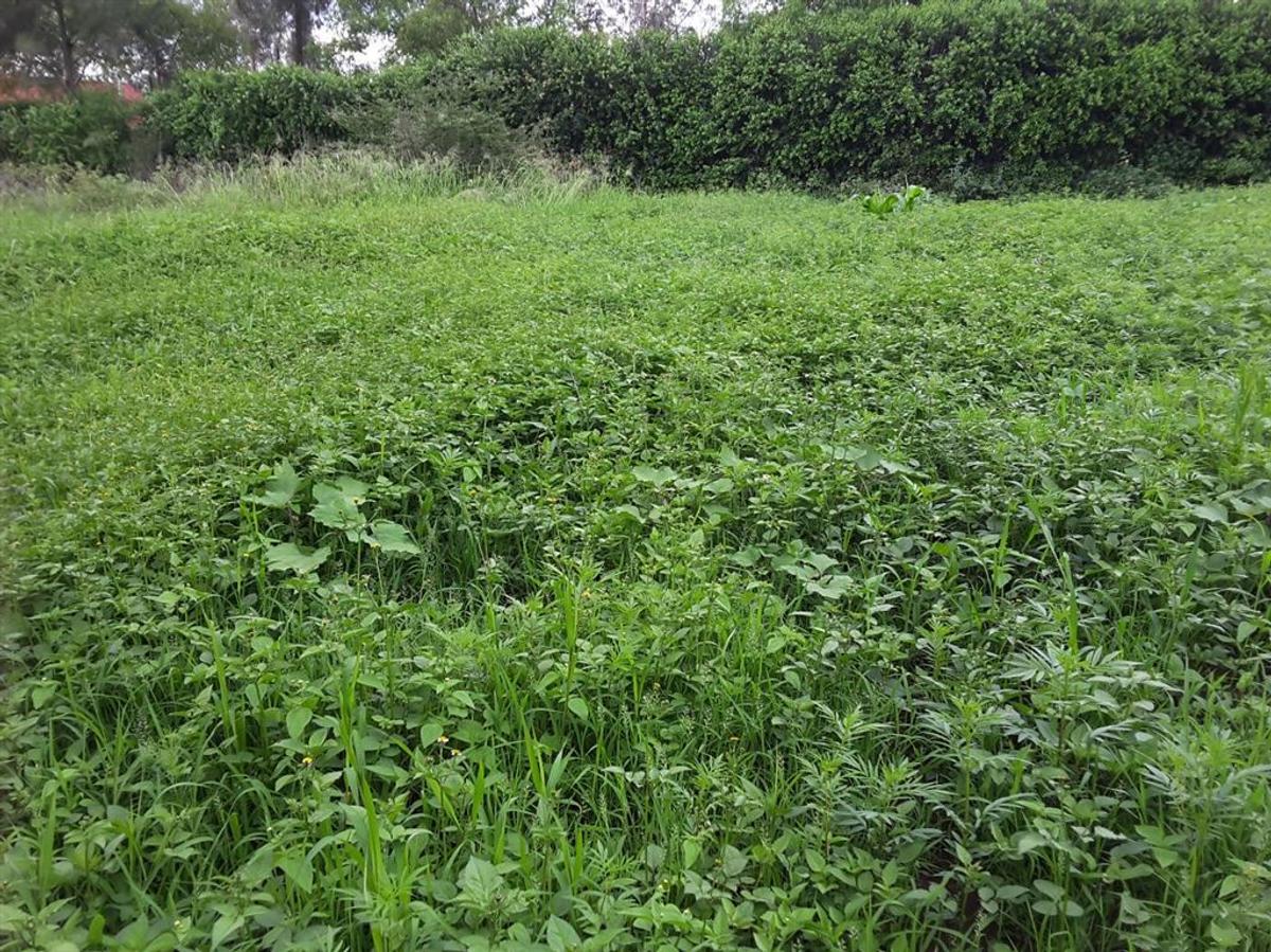 0.1 ha Residential Land in Ngong - 2