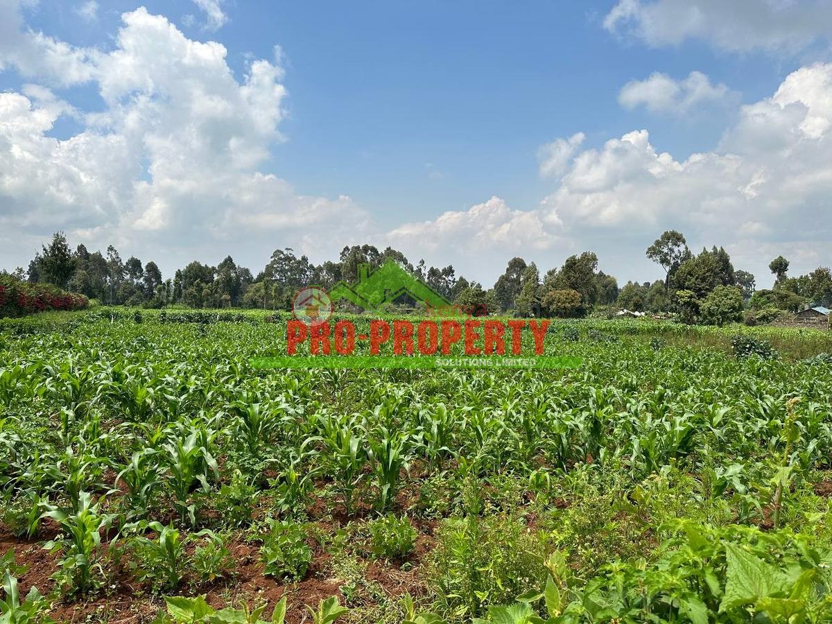 0.4 ha Land at Tilisi - 10