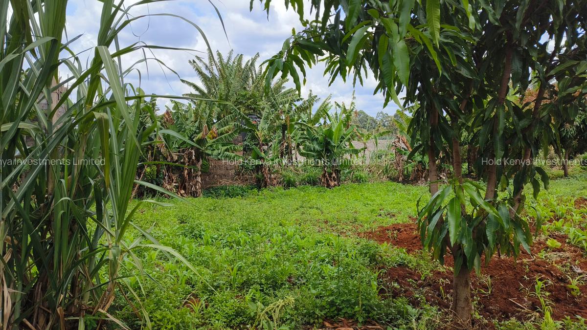 0.25 ac Residential Land at River Side Drive - 4