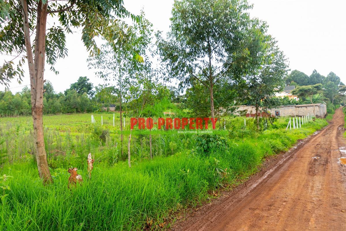 0.5 ha Commercial Land at Ondiri - 6
