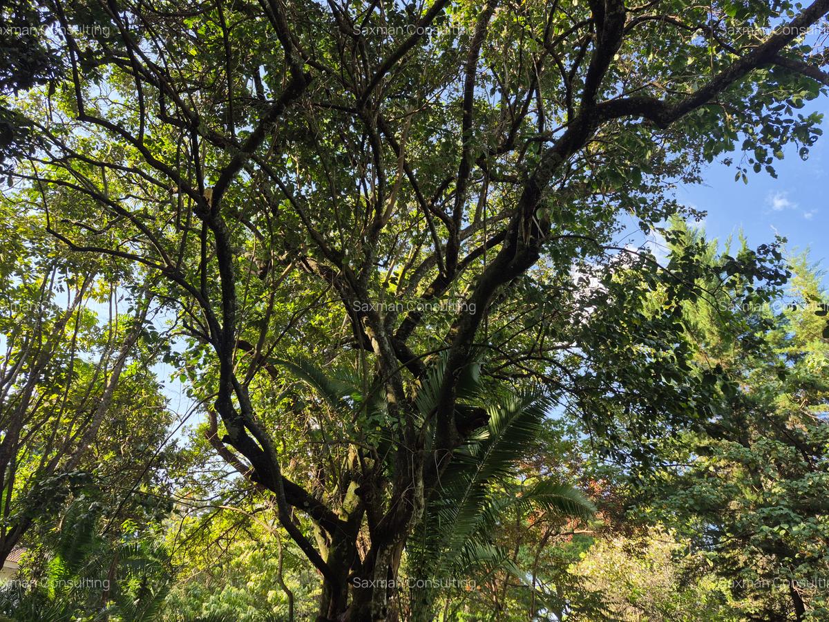 Land in Lower Kabete - 12