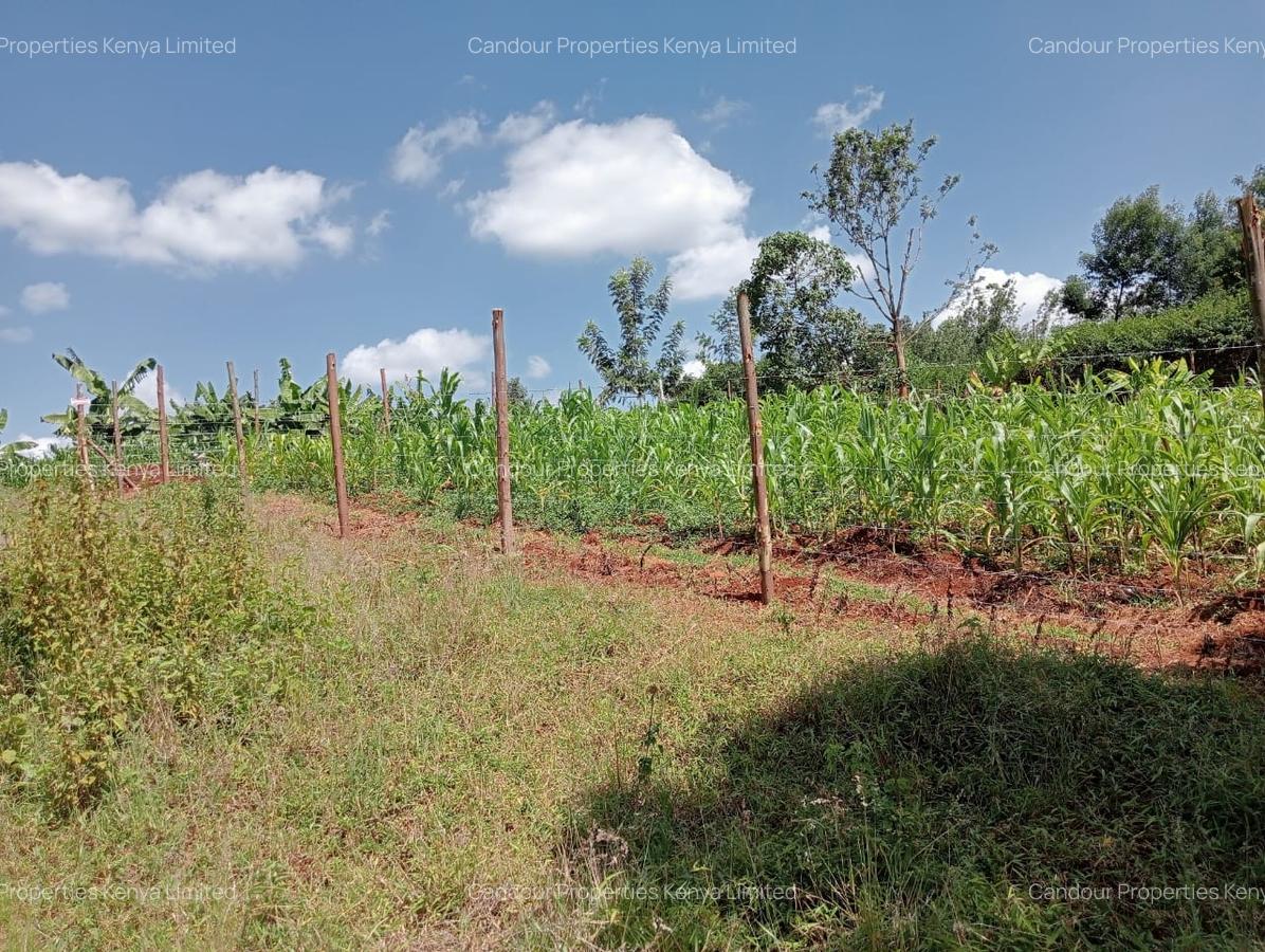 5,000 ft² Land at Muchatha Banana Kiambu - 4