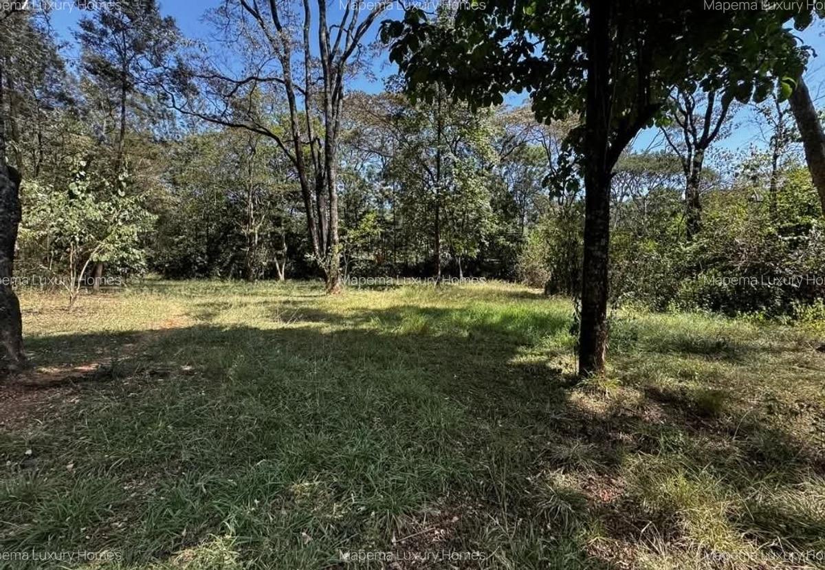 2.6 ac Residential Land at Windy Ridge - 3