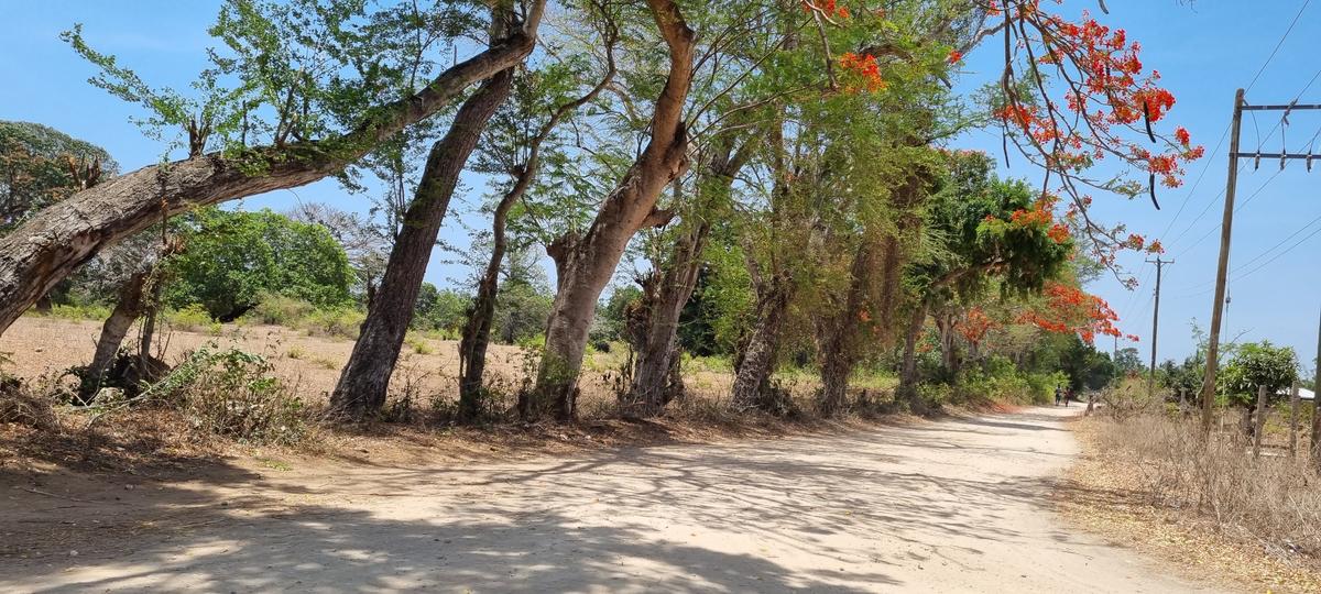 75 ac Land at Vipingo - 1