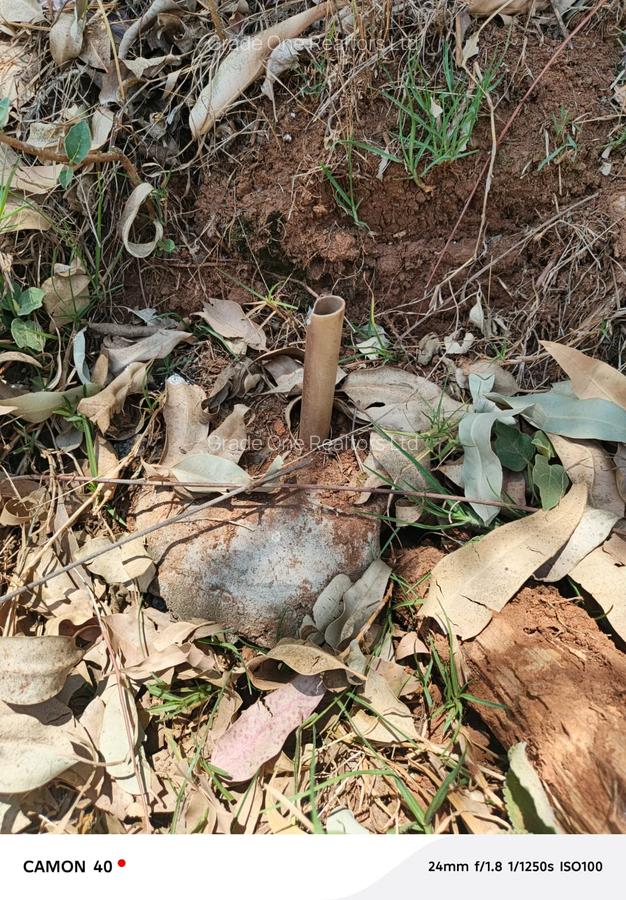 Land in Kikuyu Town - 4