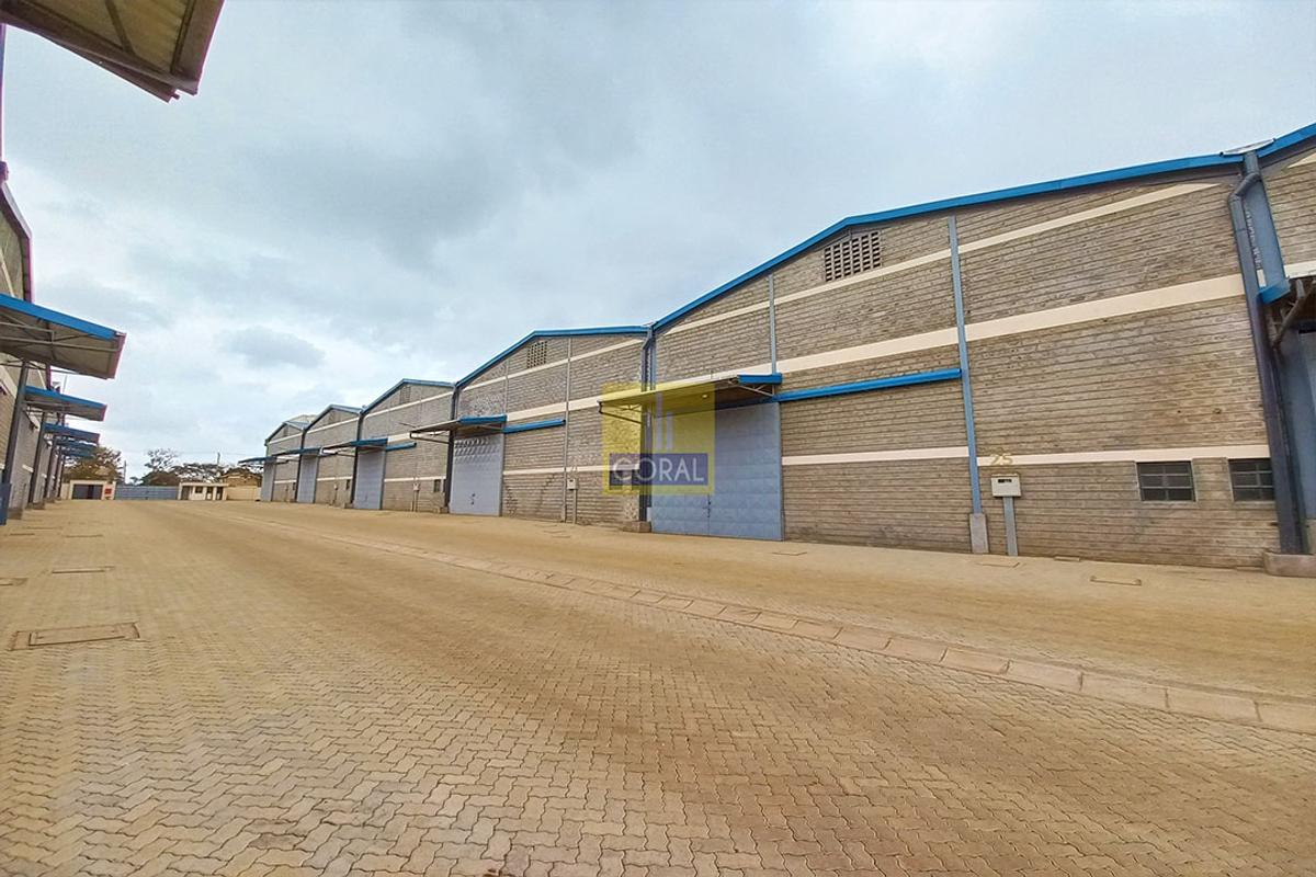 Warehouse in Ruiru - 12