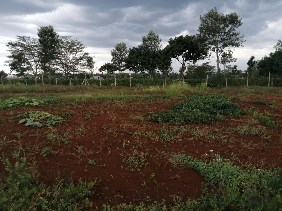 0.5 ac Residential Land at Runda Mumwe - 5