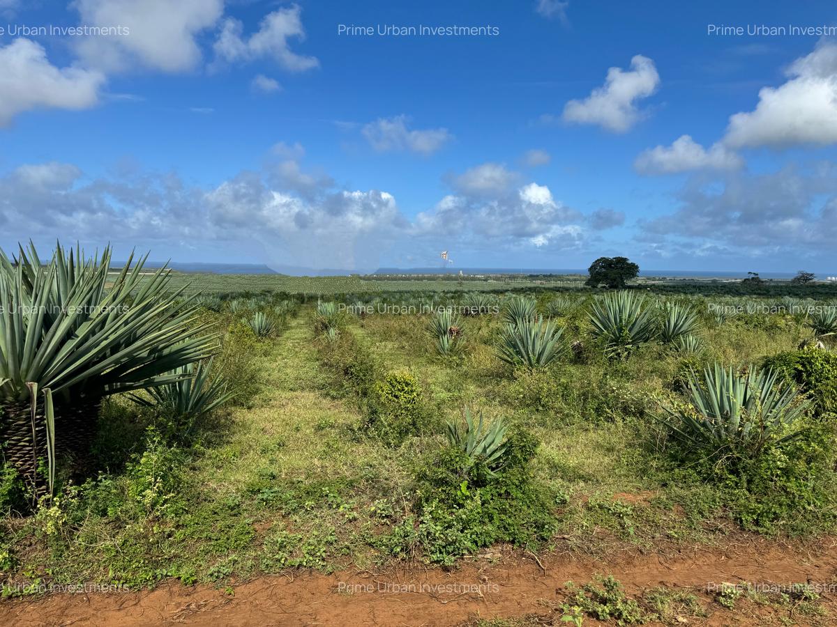 4,046.86 m² Land in Vipingo - 15