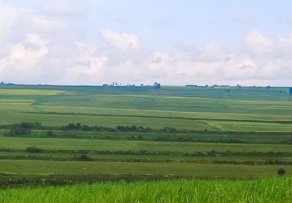 Land in Narok - 8