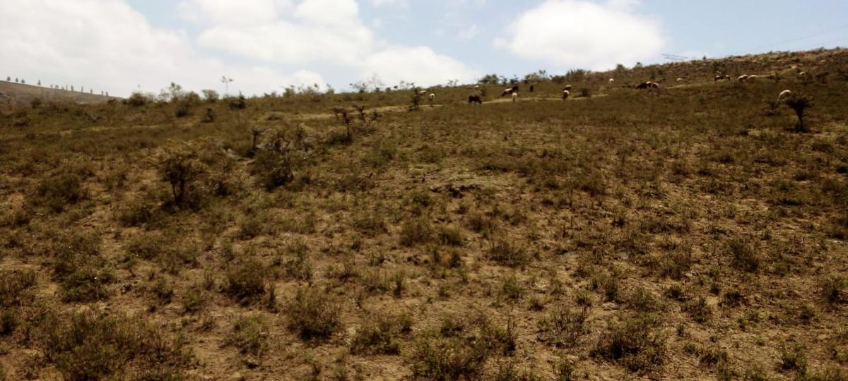 5.5 ac Land at Mai Mahiu - 4