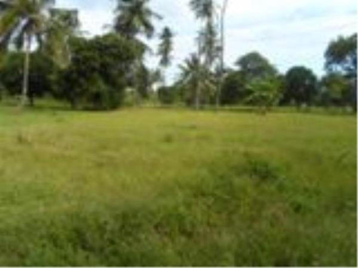 10,118 m² Residential Land at Area - 1