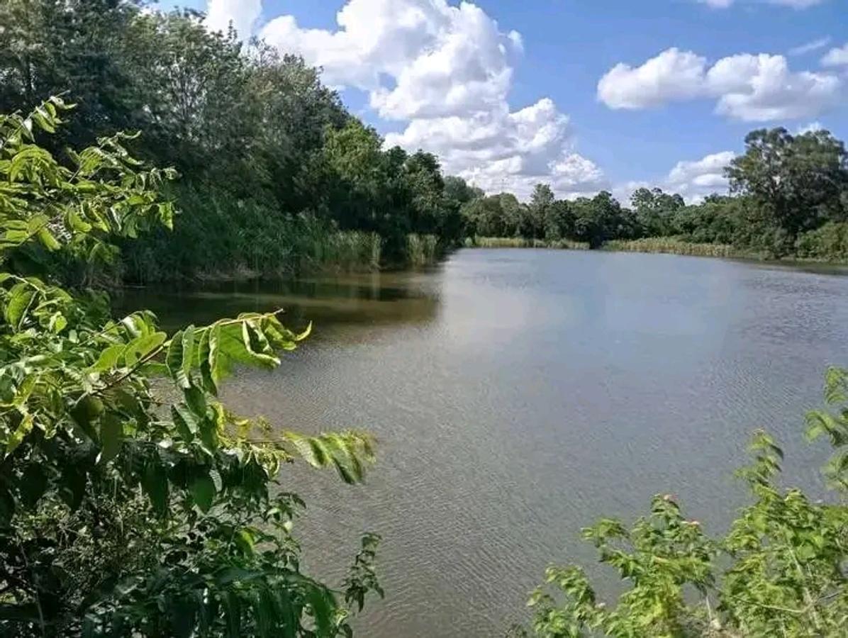 50 ft² Residential Land at Juja - 15