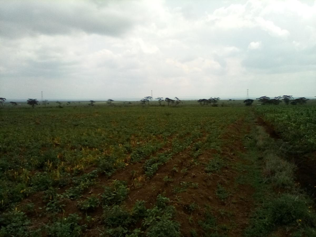 Land at Nanyuki - Rumuruti Rd - 4