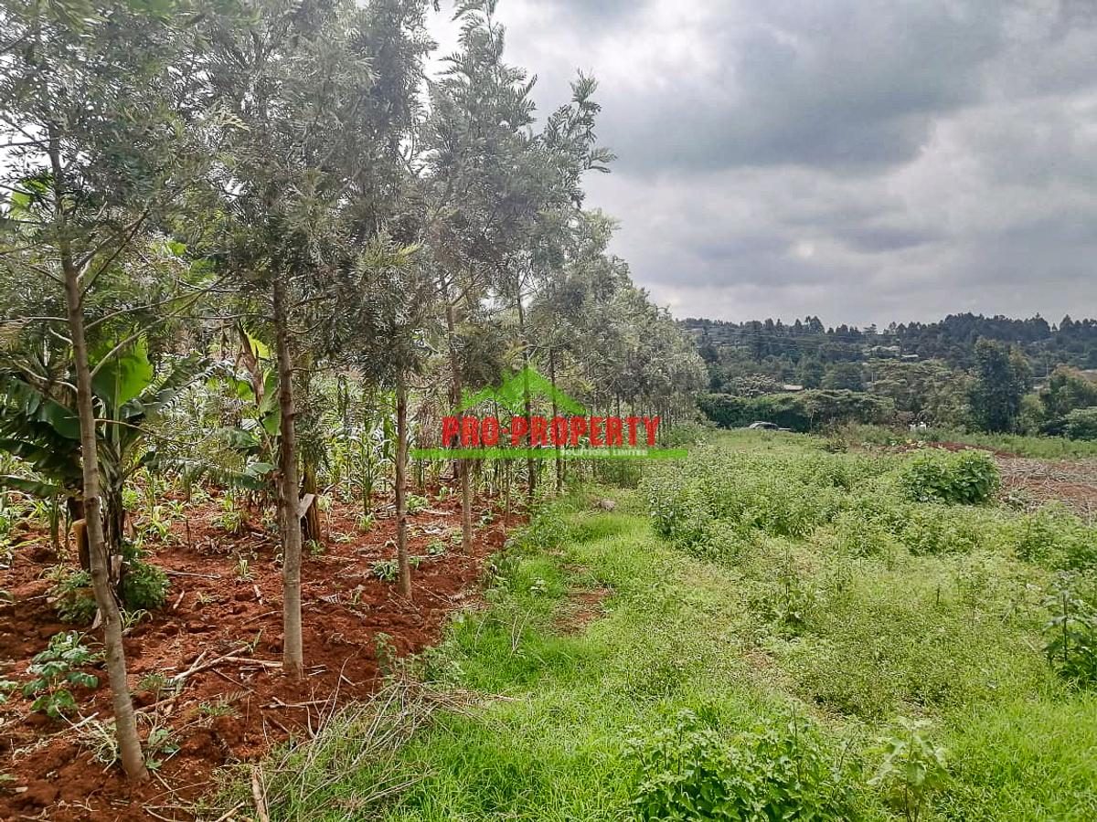 0.125 ac Residential Land at Migumoini - 9