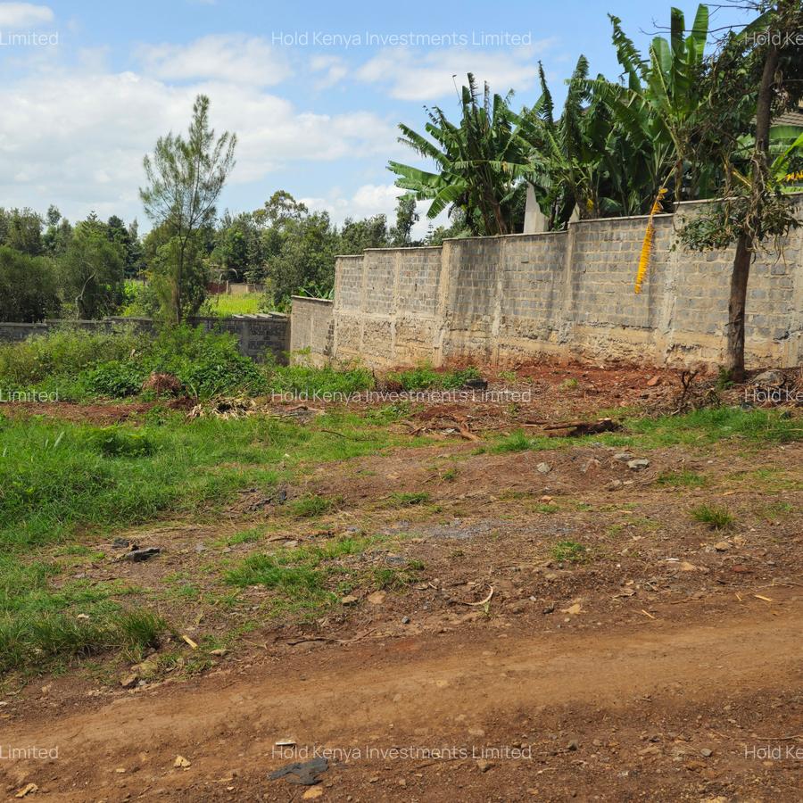 0.5 ac Land in Thome - 5