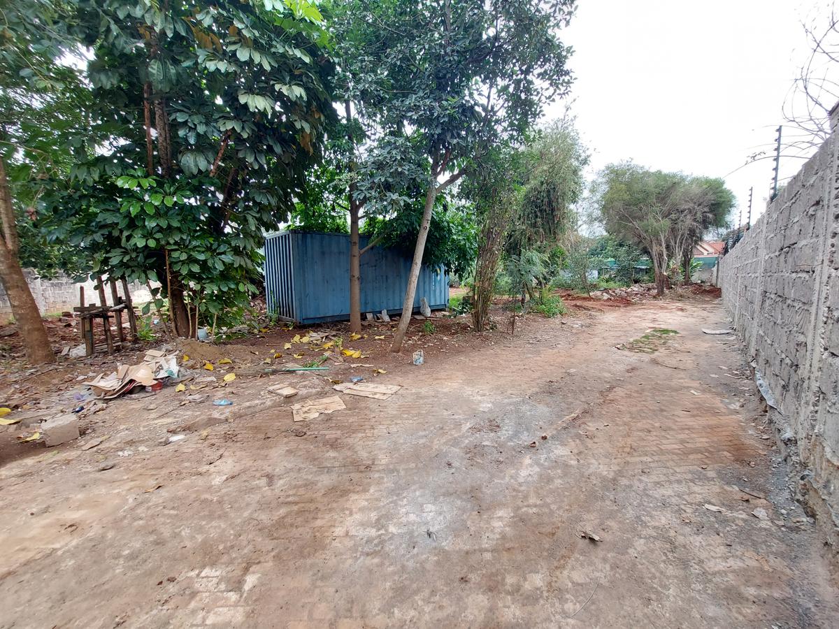 Residential Land at Mimosa Road - 3