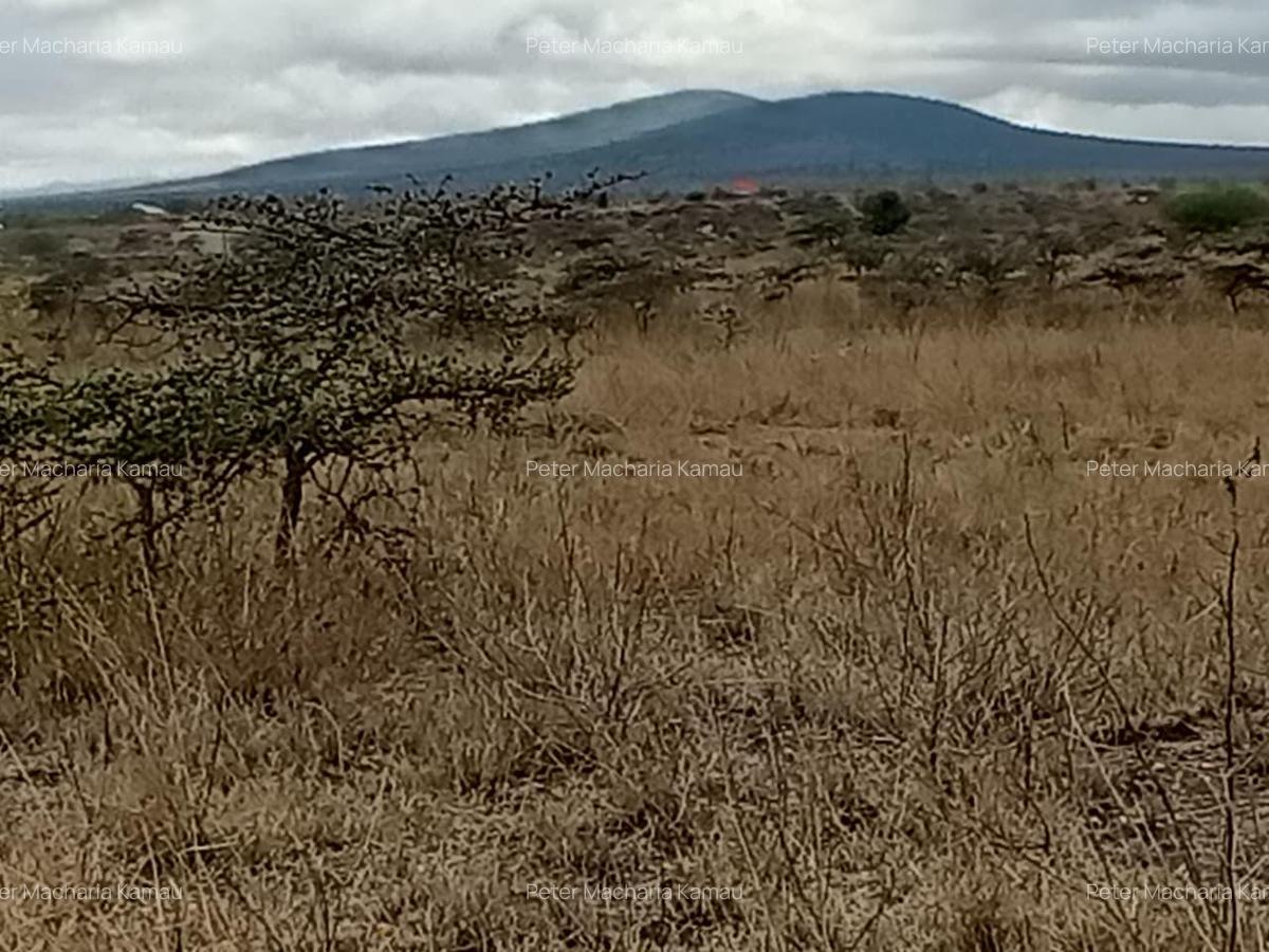 50 ac Land in Konza City - 10