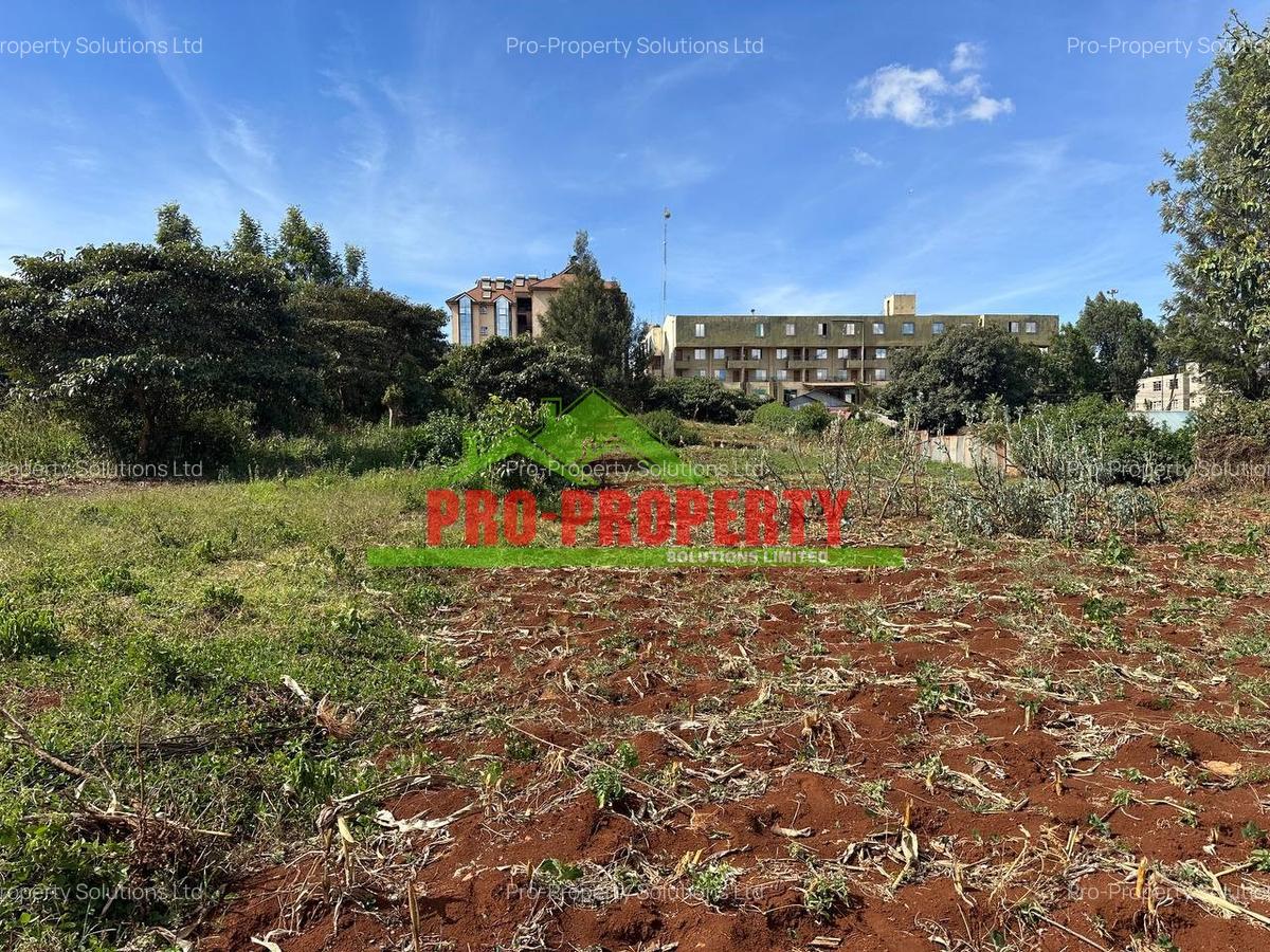 0.4 ha Land at Thogoto - 3