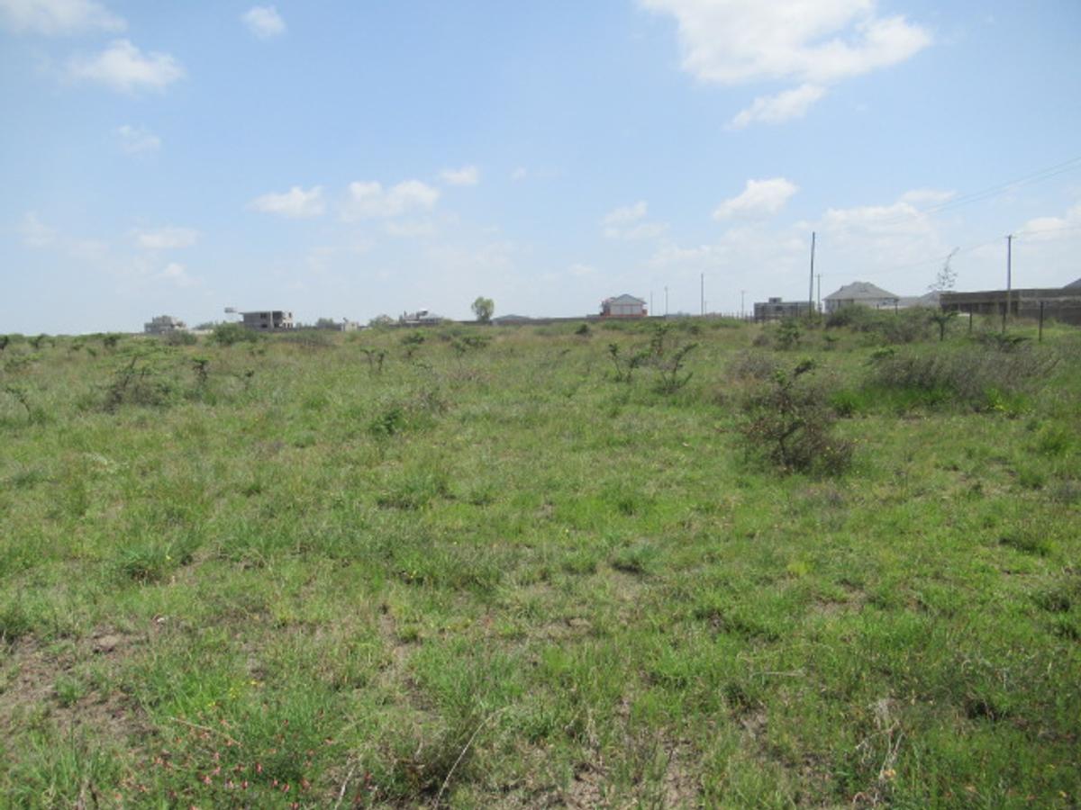 6.1 ac Land at Sabaki - 10