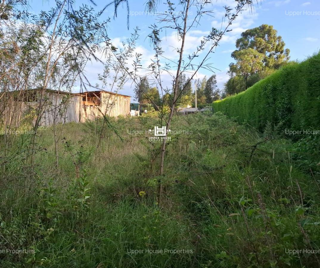 0.25 ac Land in Nanyuki - 4