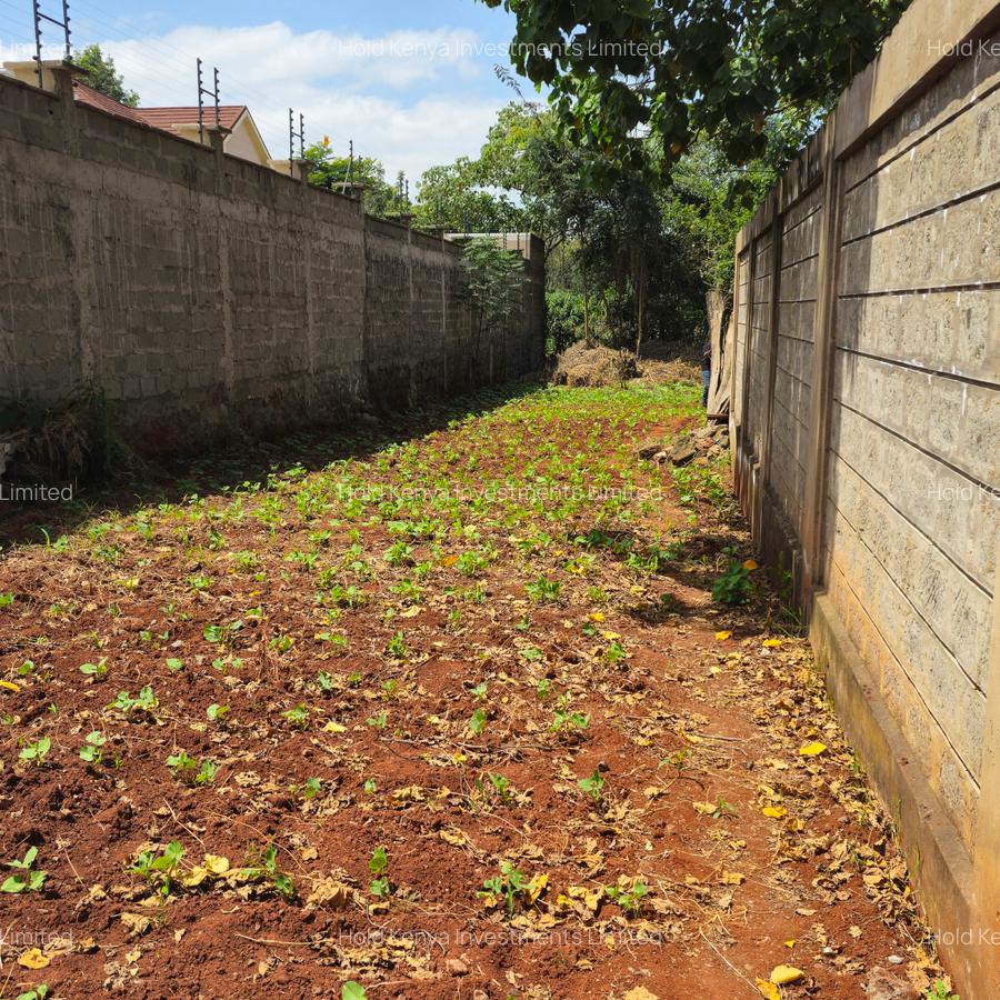 0.25 ac Land at Nyati Drive - 3
