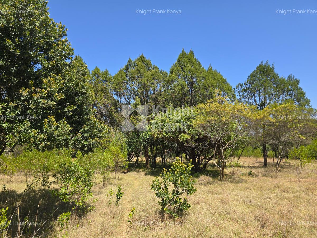 4 ac Land at Nanyuki Town - 3