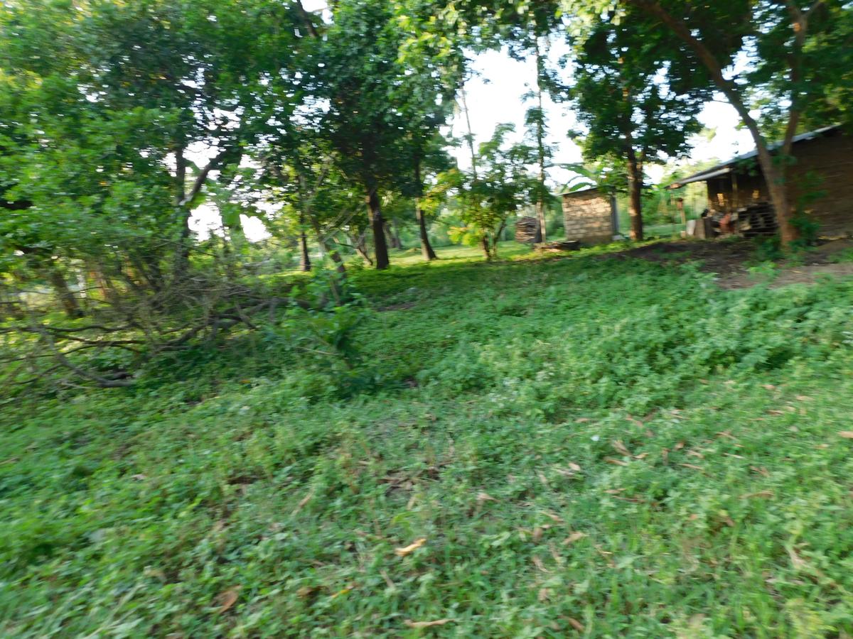 20 ac Land at Kikambala - 3