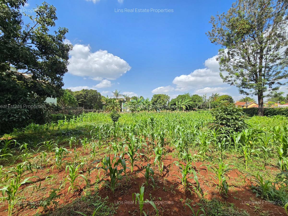 Residential Land in Runda - 9