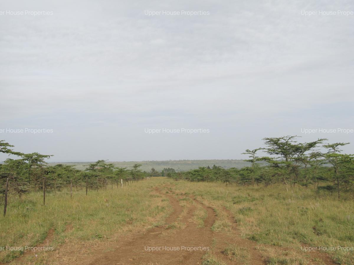563 ac Land at Mutara - 6
