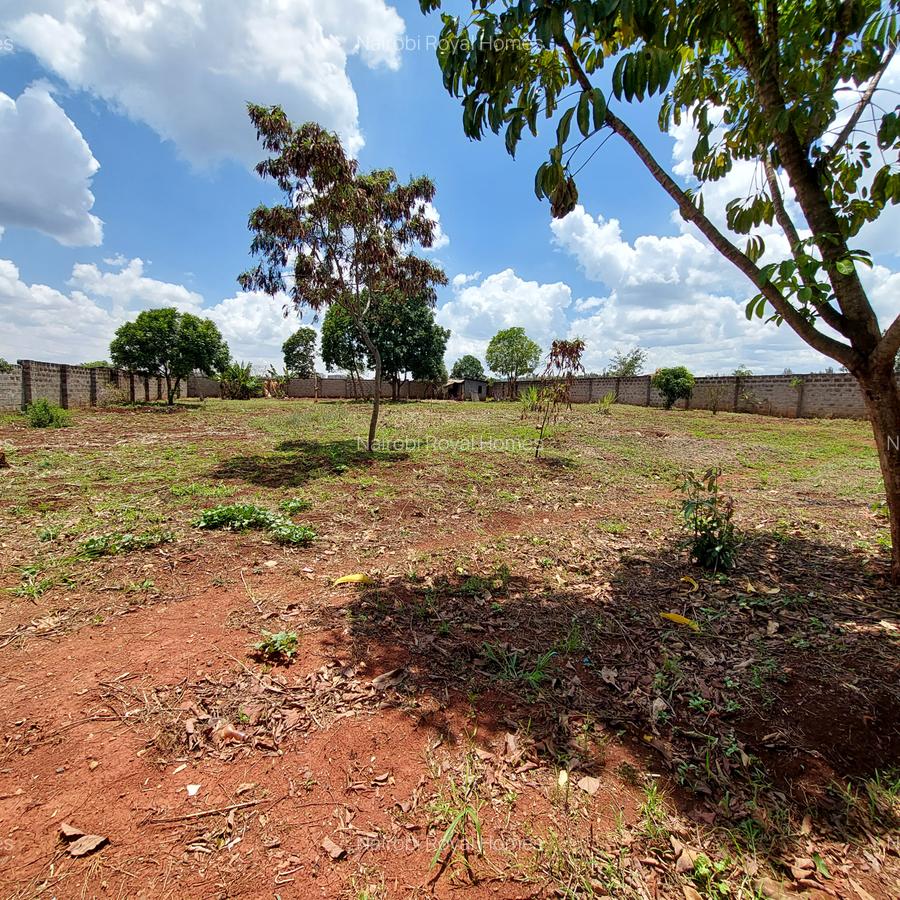 Residential Land at Flem Tree Off Ruaka Road - 20