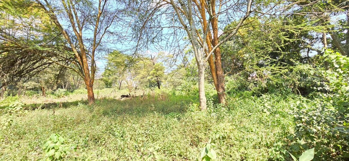 Residential Land at Shanzu Road - 12