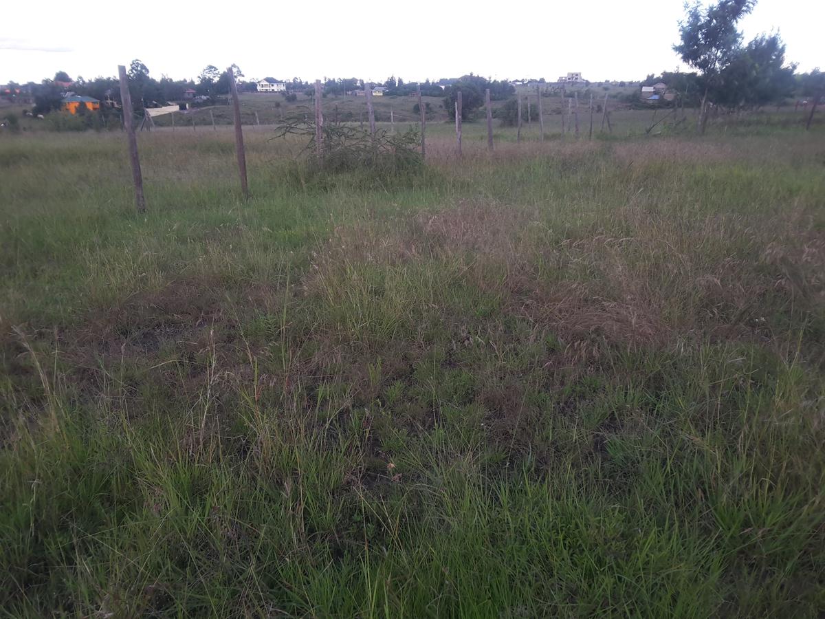 0.25 ac Land in Ongata Rongai - 6