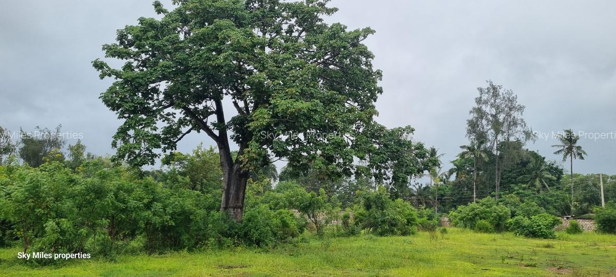 4 ac Land at Mtwapa - 8