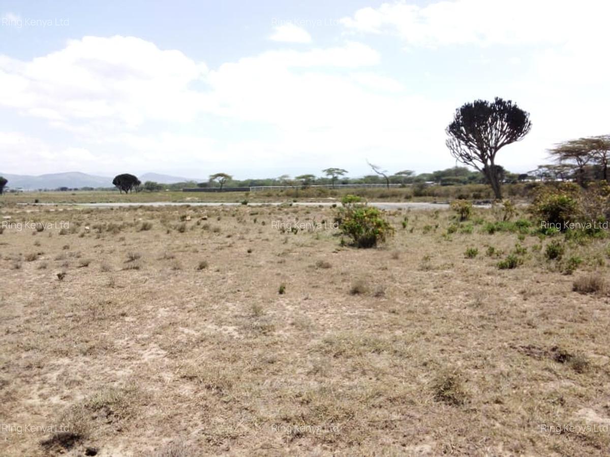 Land in Naivasha - 7