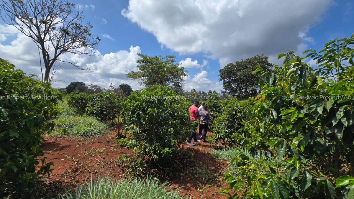 0.25 ac Residential Land in Runda - 9