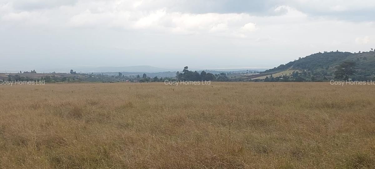 Land at Mwiyogo - 20