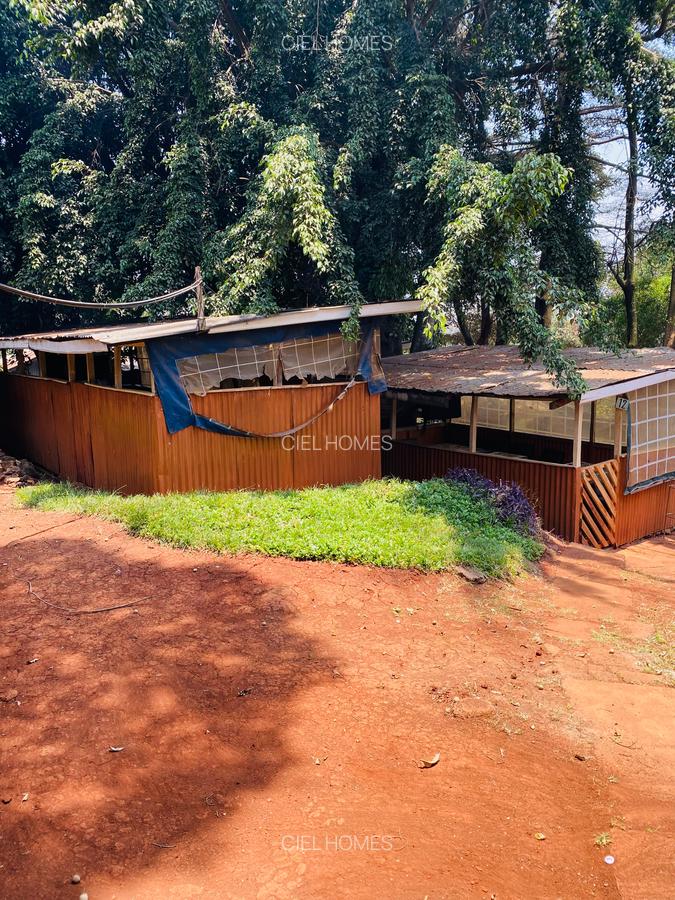 1 ac Land at Banana Raini Road - 14