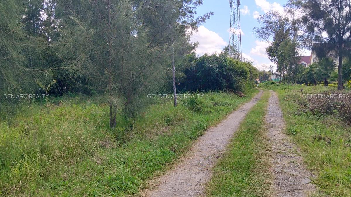 Land in Karen - 5