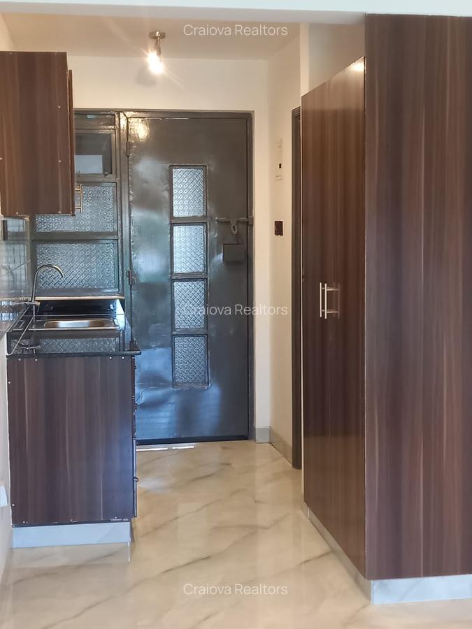 Studio Apartment with En Suite at Naivasha Road - 4