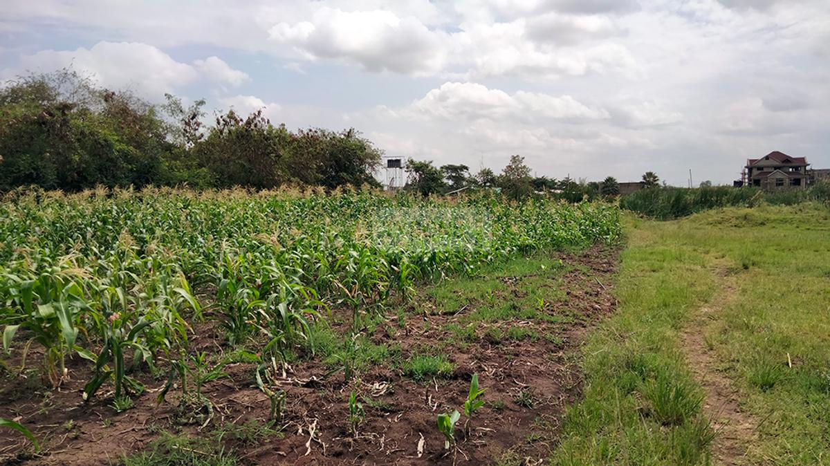 1 ac Land in Ruiru - 5