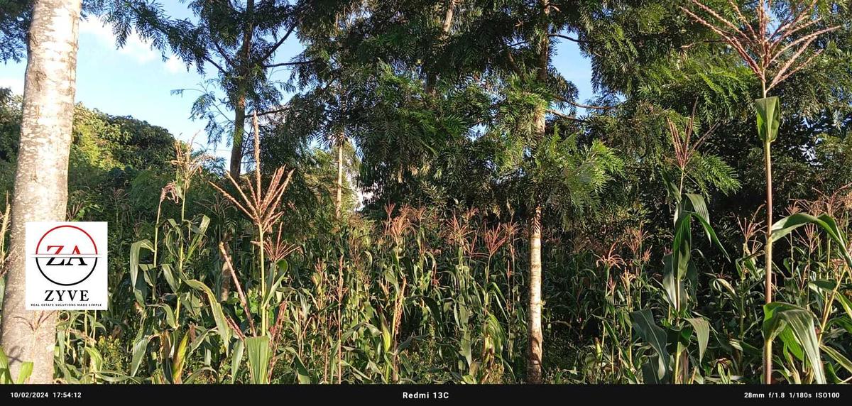 0.125 ac Land at Nduota : Banana - Nazareth Road - 3