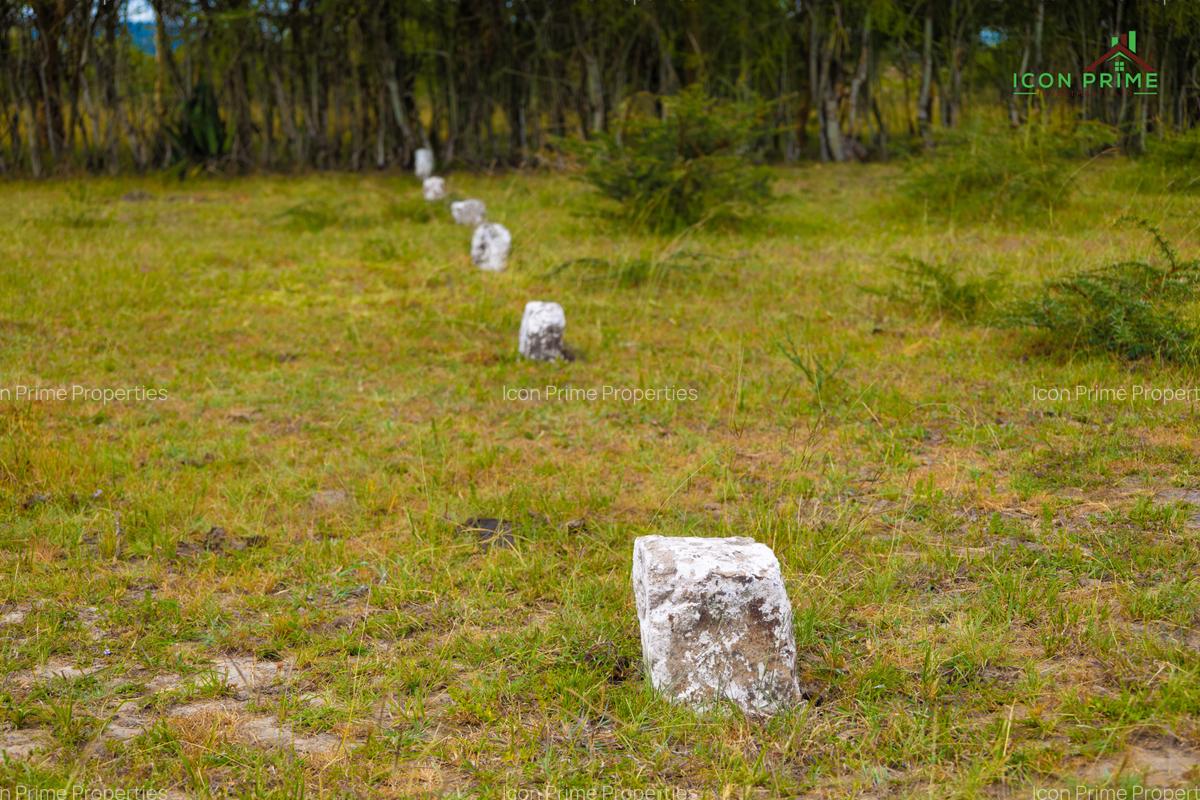 0.125 ac Land at Tala Area - 1