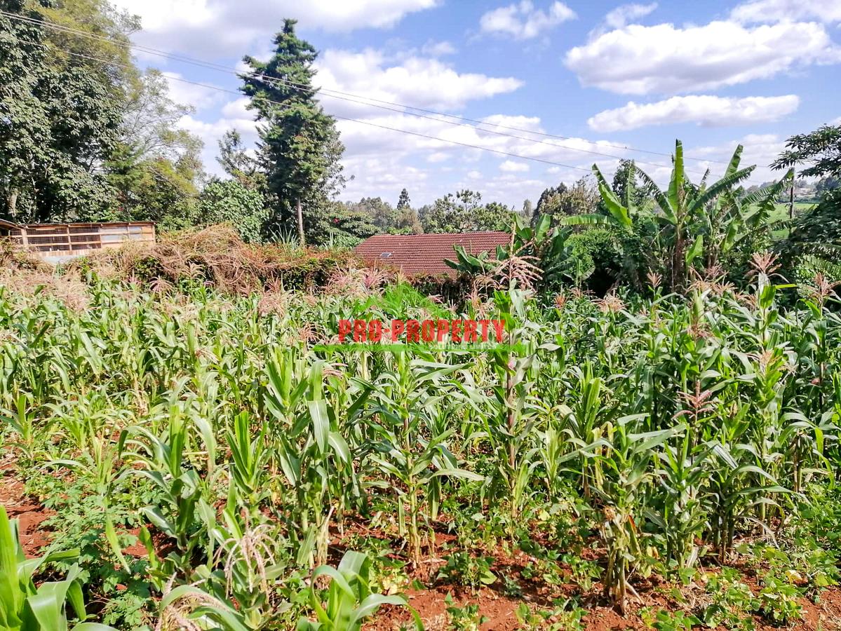 0.125 ac Commercial Land at Kikuyu - 3