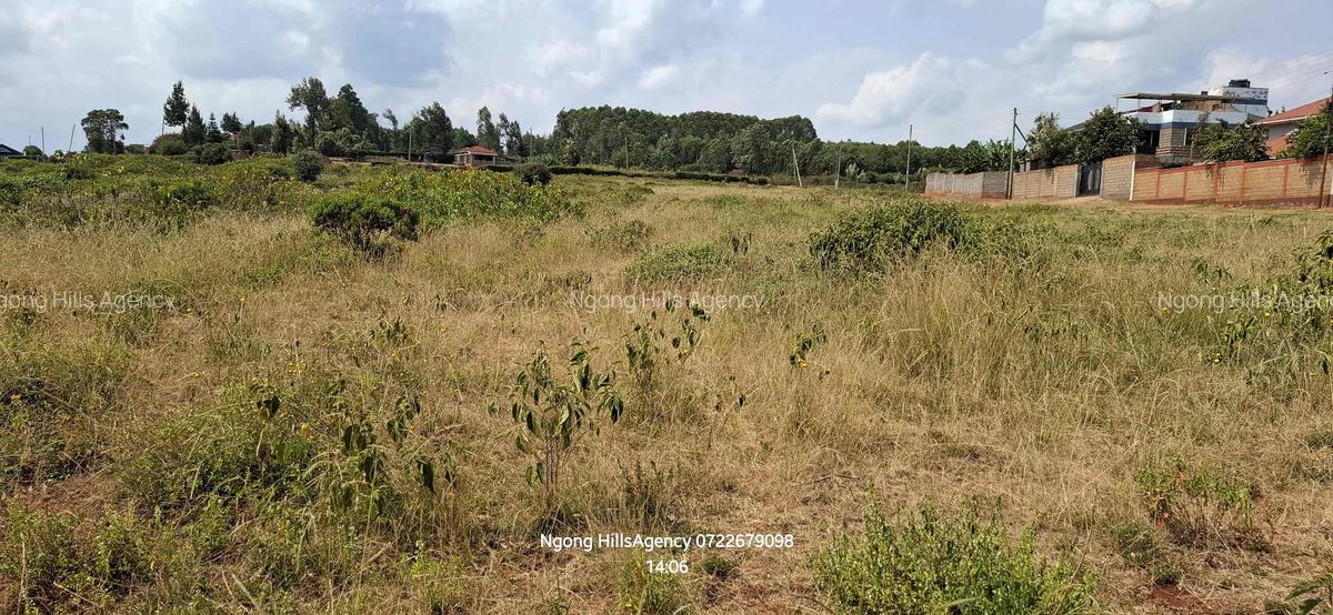 Land in Ngong - 3