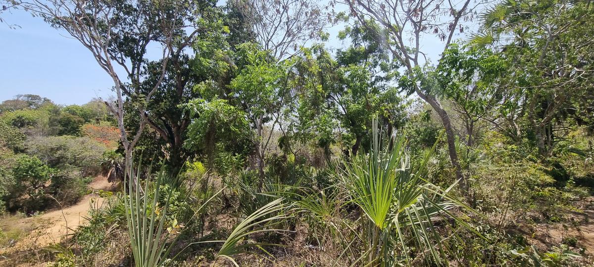 1 ac Land at Mtwapa Creekside - 19